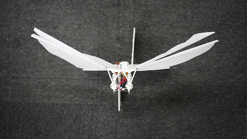 Head-on view of a white flying lightweight robot that stands on the ground motionless