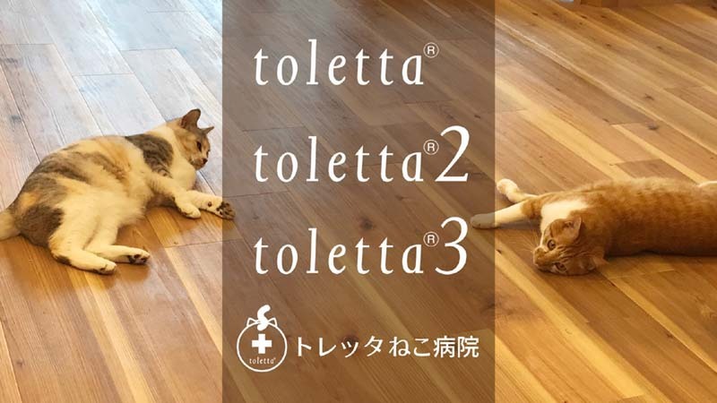 toletta