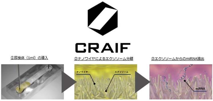 Craif