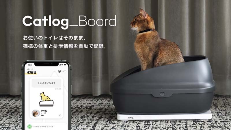 Catlog Board<