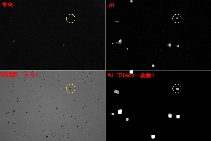 Four images are aligned, showing the different levels of point detection applicaiton.