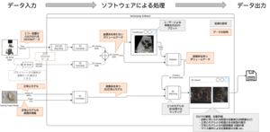 Detecting Congenital Heart Disease Before Birth (Part 3)